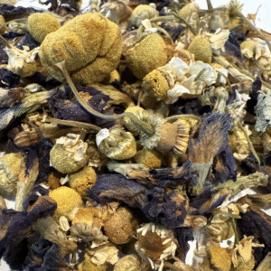 Butterfly Dream Elixir